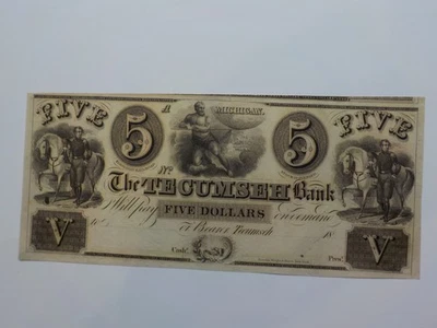 Currency Note 1800s 5 Dollar Bill The Tecumseh Bank Michigan Uncirculated - Image 1 of 2