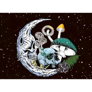 Tapestry Wall Hanging Moonful of Mushrooms 5 ft x 4 ft Moon & Stars Home Decor - Picture 1 of 4