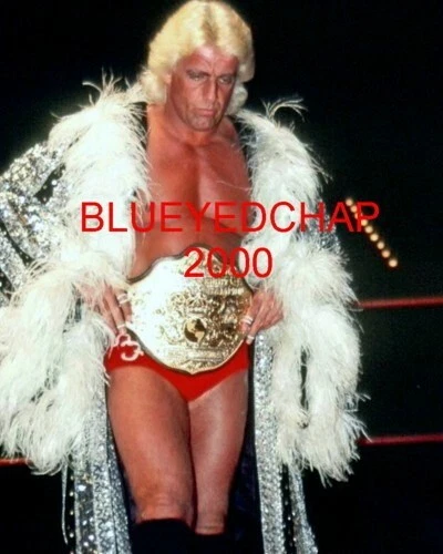 RIC FLAIR WRESTLER 8 X 10 WRESTLING PHOTO NWA WCW WWF - Image 1 of 1