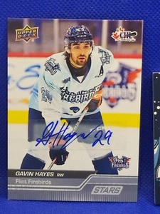 2023-24 Upper Deck CHL STARS Gavin Hayes AUTO #329 AA809 - Picture 1 of 2