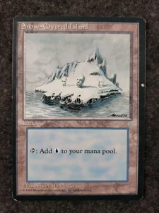 Snow-Covered Island-Ice Age-Regular-371-MP (DS3D1L5) - Picture 1 of 12