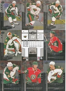 2010-11 UD Upper Deck Black Diamond Minnesota Wild set completo squadra (9) - Foto 1 di 1