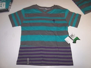 NEW LRG  3T Lifted Research Group v neck stripe short sleeve t shirt boys aqua - Picture 1 of 1