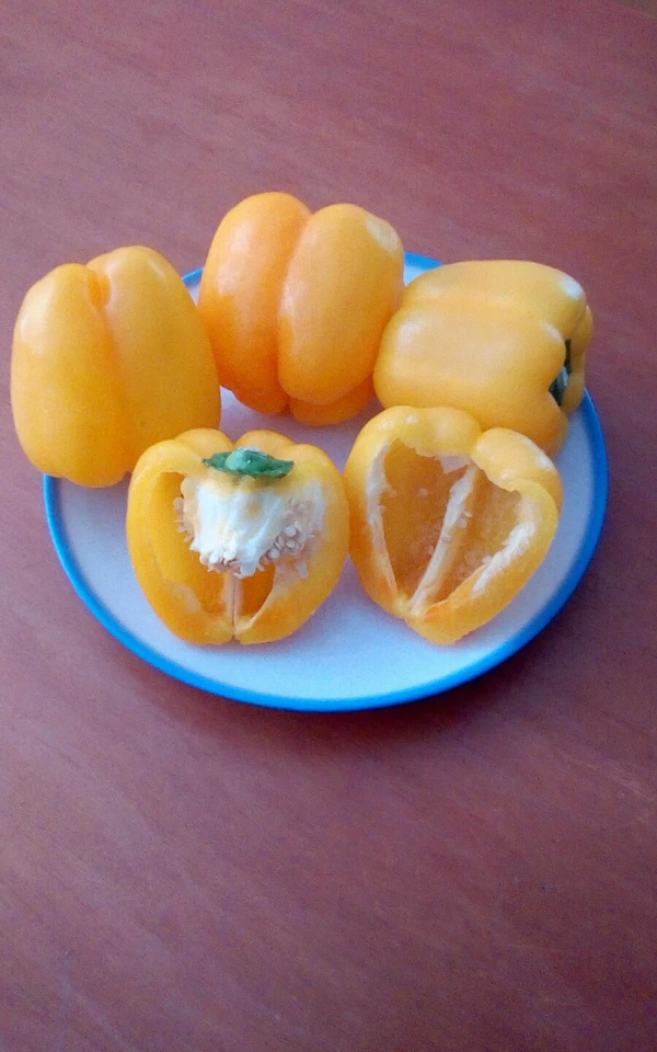 120 semi peperone giallo  ( peperoni ) semi.italiani - Immagine 1 di 1