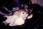 1970 Cute Cats Posing On Couch Vintage  35Mm Slide Ml20