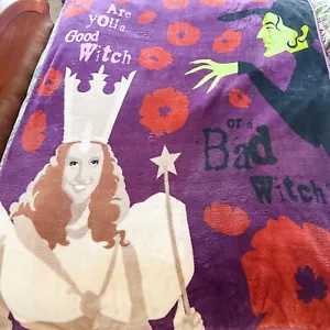Wizard of Oz Good Witch Bad Witch Blanket Throw by Northwest 50" x 70" - Picture 1 of 11