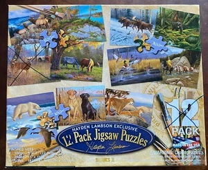 Hayden Lambson SET OF 11 (NOT 12) Puzzles 3 unopened, 8 COMP 3100 pc - Picture 1 of 5