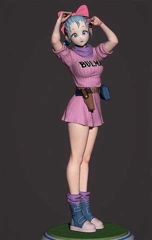 Bulma 3D printed unpainted unassembled resin model kit Cover
