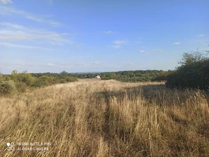 Baugrundstück, Plattensee, Nähe Tihány, 7.000 m2 - Bild 1 von 3