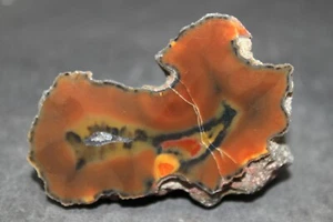 Condor agate collector specimen  - Picture 1 of 4