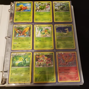 Pokemon Fates Collide Complete Base Set 1-115 *** - Picture 1 of 12
