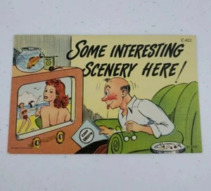 Curt Teich Risque "Einige interessante Landschaft hier!" Leinen Postkarte 1952 C-821  - Bild 1 von 7