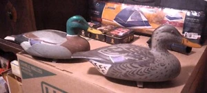 Duck Decoys Plastic Hollow Body Hunting - Mallards - Picture 1 of 5