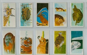Brooke Bond. RE-ISSUE. A full set, 40 British cards, B32: 'Vanishing Wildlife' - Picture 1 of 8