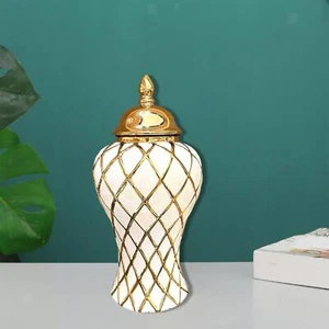 Ceramic Vase Display Porcelain Ginger Jar for Bedroom Decoration Living Room - Picture 1 of 7