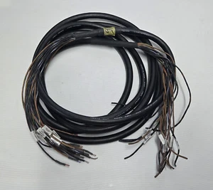 Canare MR202-16AT 16 Channel Audio Cable Snake 15ft - Picture 1 of 1