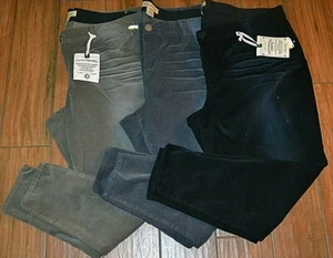 NEW Democracy Plus Size 22W OR 24W Black, Green OR Gray Corduroy Skinny Pants - Picture 1 of 4