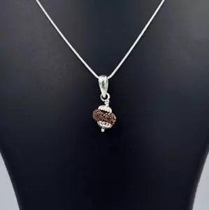13 Mukhi Indonesian Rudraksha Pendant 925 Sterling Silver Spiritual Amulet - Picture 1 of 7