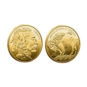 2019 Liberty In God We Trust Commemorative Metal Coin E UNUM Indian Head Coin - Picture 1 of 2