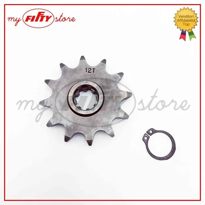 MY FIFTY STORE Pignone motore Z12 MILLERIGHE Minarelli RV4 R3GL DL3 MOTRON GTO 50 PI24