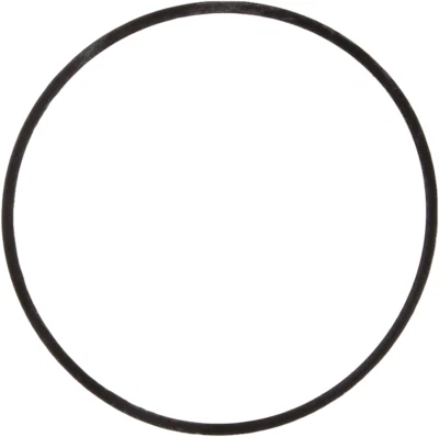 Junta tórica Briggs & Stratton nueva OEM # 693981 Foto 1 de 4