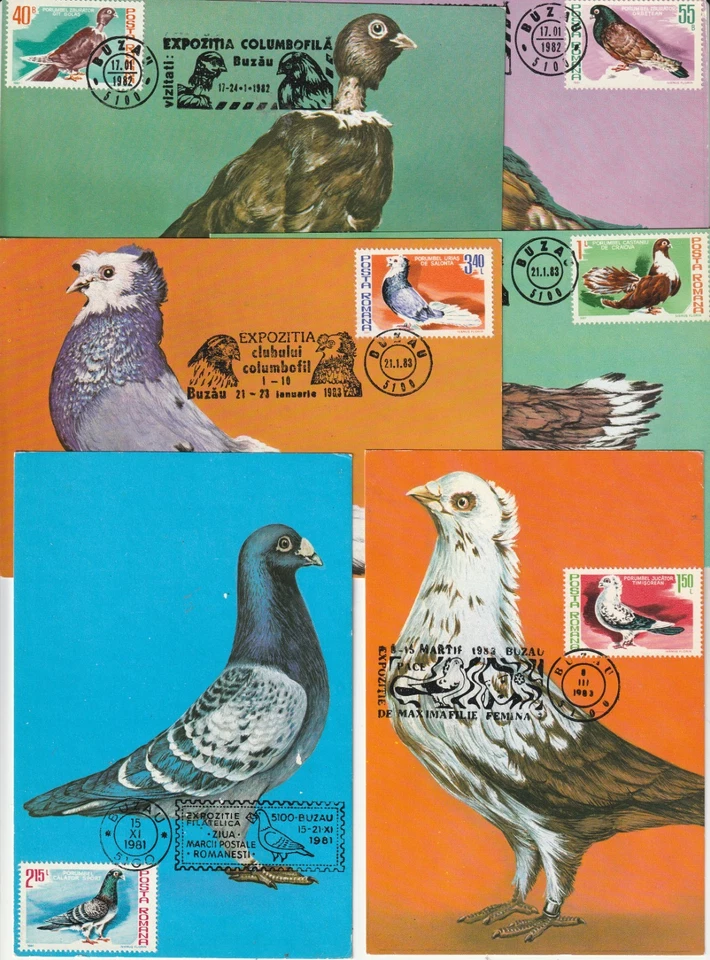 POSTALES RUMANIA 1981 AVES PALOMAS POSTALES Foto 1 de 1