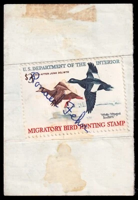 United States Hunting Permit Stamp Scott RW36 on Hunting License (1969) U F C - Image 1 of 2