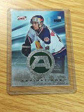 DEL 14/15 2014-15 Aspirations Tim Bender Nuremberg Ice Tigers Red Bull Munich