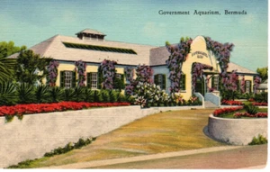 VTG Linen Bermuda Government Aquarium - Picture 1 of 2