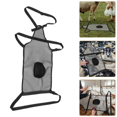  Anti Breeding Apron Anti Mating Skirt With Adjustable Strap Breeding Control - Bild 1 von 4