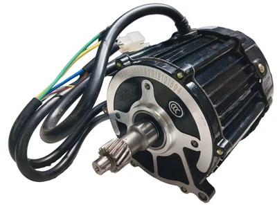 Motor Eléctrico De Triciclo Con Velocidad Diferencial 60V 1000W - Imagen 1 de 4