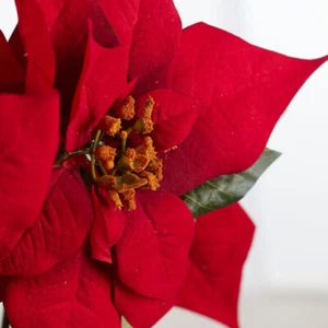 23" Realistic Red Artificial Poinsettia Floral Bush - Picture 1 of 4