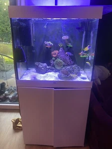 meerwasser aquarium komplett gebraucht - Bild 1 von 6