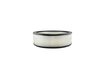 Filtro de aire para Oldsmobile Cutlass Calais 1982-1984 Baldwin 73652DWZZ 1983 Foto 1 de 2