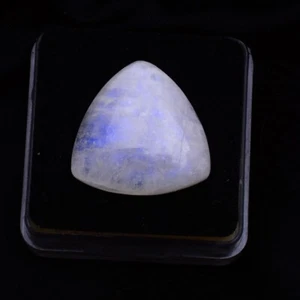 26.80 Cts Natural Moonstone 22mm Blue Fire Trillion Cabochon Untreated Gemstone - Imagen 1 de 4