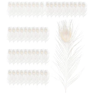 50 PièCes SéRies / Plumes de Paon Blanc Naturel dans L'ŒIl, 10 à 12 Pouces 5395 - Bild 1 von 4