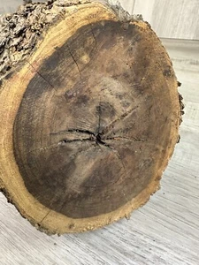 Ironwood Raw Lumber With Bark DIY Woodworking 22 LB 10 OZ Round (24X4.5”) - Picture 1 of 17