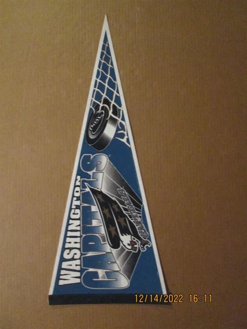 NHL Washington Capitals Vintage 1995-96 Screaming Eagle Team Logo Pennant #1 Cover