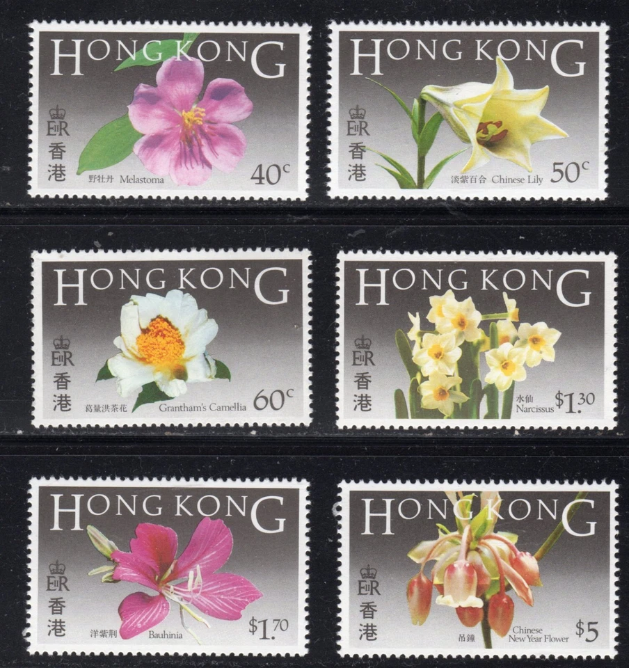Hong Kong 1985 Juego de 6 flores finas U/M MNH SG497/502 Foto 1 de 1