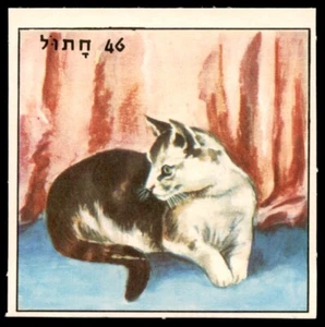 Judaica Israel Old Trade Card or Game Card a Cat - Picture 1 of 1