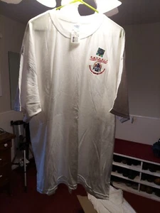 Detroit Red Wings Stanley Cup Champion T-shirt - Picture 1 of 7