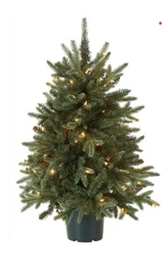 National Tree Company Künstlicher Weihnachtsbaum 3’ hoch, klare Lichter, getopft - Bild 1 von 1