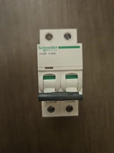 SCHNEIDER IC60N D 50A 2 POLE CIRCUIT BREAKER USED & WORKING - Picture 1 of 4