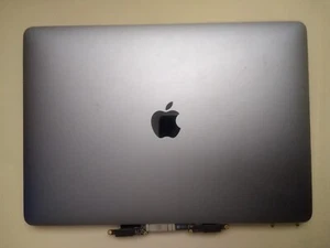 Apple MacBook Pro LCD Screen Display 13 inch for Parts or Repair Only - Picture 1 of 4
