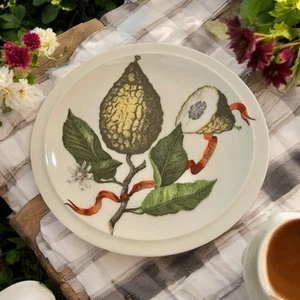 Vtg Villeroy & Boch Volckamer Botanical Fruit 8 in Ivory Plate Preowned - Picture 1 of 11