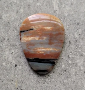 Gemstone guitar pick jazz style Petrified Wood stone plectrum Handmade OOAK - Picture 1 of 4