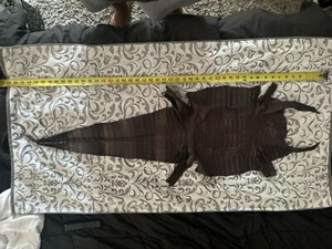 Genuine Caiman Crocodile Hornback Skin Leather Hide Pelt Mahogany 45 by 14. F.S. - Picture 1 of 24