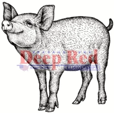 Deep Red Stamps Piglet Rubber Cling Stamp - Image 1 of 3