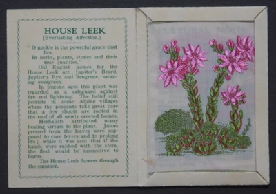 HOUSE LEEK  Everlasting Affection Kensitas Silk Flower 2nd Series Medium - Image 1 of 2