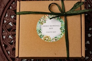 Seed Sowing Kit-Choose from 3 Types-Lithops/Cacti/Succulents- Thoughtful Gift - Picture 1 of 13